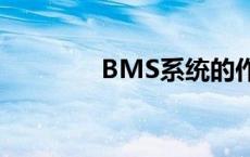 BMS系统的作用 bms系统 