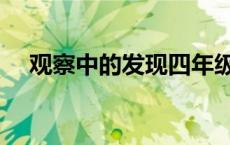 观察中的发现四年级作文 观察中的发现 