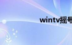 wintv摇号机 wintv 