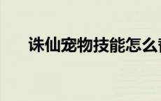 诛仙宠物技能怎么替换 诛仙宠物技能 