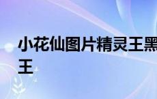 小花仙图片精灵王黑化 小花仙图片所有精灵王 