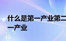 什么是第一产业第二产业第三产业 什么是第一产业 