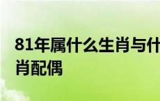 81年属什么生肖与什么配最好 81年属什么生肖配偶 