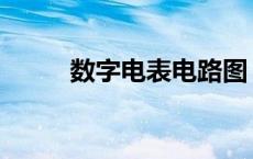 数字电表电路图 数字电表接线图 