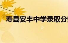 寿县安丰中学录取分数线2023 寿县安丰中学 