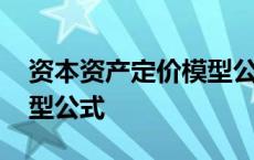 资本资产定价模型公式例题 资本资产定价模型公式 