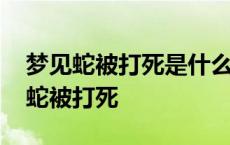 梦见蛇被打死是什么预兆男人周公解梦 梦见蛇被打死 