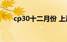 cp30十二月份 上海cp漫展一年几次 