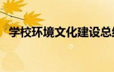 学校环境文化建设总结 学校环境文化建设 