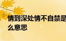 情到深处情不自禁是什么意思 情不自禁是什么意思 