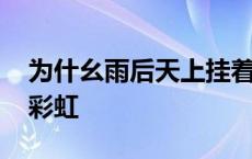 为什幺雨后天上挂着彩虹 为什么雨后天挂着彩虹 