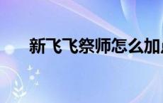 新飞飞祭师怎么加点 新飞飞巫师加点 