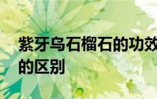 紫牙乌石榴石的功效与作用 紫牙乌和石榴石的区别 