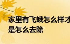 家里有飞蛾怎么样才能彻底去除 家里有飞蛾是怎么去除 