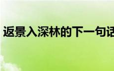 返景入深林的下一句话 返景入深林的下一句 