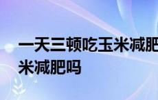 一天三顿吃玉米减肥吗会胖吗 一天三顿吃玉米减肥吗 