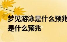 梦见游泳是什么预兆男人周公解梦 梦见游泳是什么预兆 