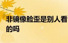 非镜像脸歪是别人看自己? 非镜像脸歪是真实的吗 