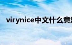 virynice中文什么意思 nice中文什么意思 