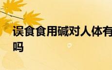 误食食用碱对人体有害吗 食用碱对人体有害吗 