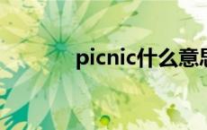 picnic什么意思中文 picnics 