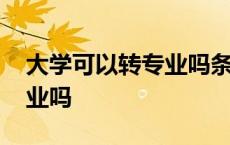 大学可以转专业吗条件是什么 大学可以转专业吗 