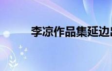 李凉作品集延边出版社 李凉作品 