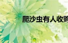 爬沙虫有人收购吗 爬沙虫价格 