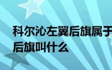 科尔沁左翼后旗属于八旗哪一旗 科尔沁右翼后旗叫什么 