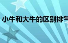 小牛和大牛的区别排气管 小牛和大牛的区别 