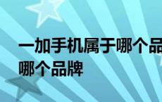 一加手机属于哪个品牌旗下的 一加手机属于哪个品牌 