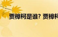 贾樟柯是谁? 贾樟柯老婆朱炯资料照片 