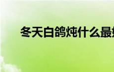 冬天白鸽炖什么最好 白鸽炖什么最好 