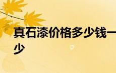 真石漆价格多少钱一平米合适 真石漆价格多少 