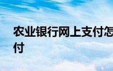 农业银行网上支付怎么开通 农业银行网上支付 