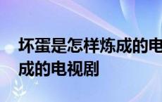 坏蛋是怎样炼成的电视剧剧照 坏蛋是怎样炼成的电视剧 