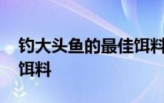 钓大头鱼的最佳饵料是什么 钓大头鱼的最佳饵料 