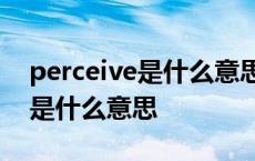 perceive是什么意思中文翻译 perspective是什么意思 