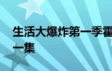 生活大爆炸第一季霍华德 生活大爆炸霍金哪一集 