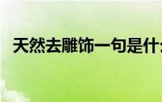 天然去雕饰一句是什么 天然去雕饰上一句 