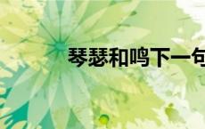 琴瑟和鸣下一句新婚祝福 琴瑟 