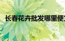 长春花卉批发哪里便宜 长春花卉批发市场 