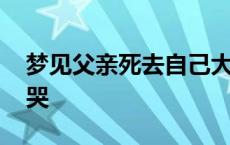 梦见父亲死去自己大哭 梦见父亲去世自己大哭 