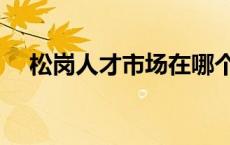 松岗人才市场在哪个位置 松岗人才市场 