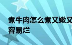 煮牛肉怎么煮又嫩又烂又好吃 煮牛肉放什么容易烂 