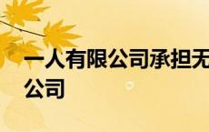 一人有限公司承担无限连带责任吗 一人有限公司 