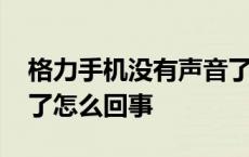 格力手机没有声音了怎么回事 手机没有声音了怎么回事 