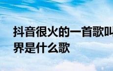 抖音很火的一首歌叫什么孤独 你在哪一个世界是什么歌 