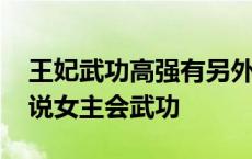 王妃武功高强有另外一个身份的小说 王妃小说女主会武功 