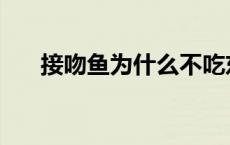 接吻鱼为什么不吃东西 接吻鱼不接吻 